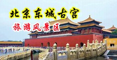 东东北骚逼中国北京-东城古宫旅游风景区